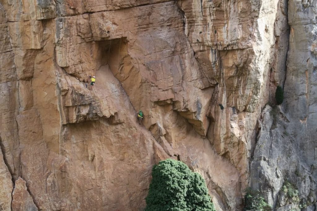 Rally de Escalada 12h